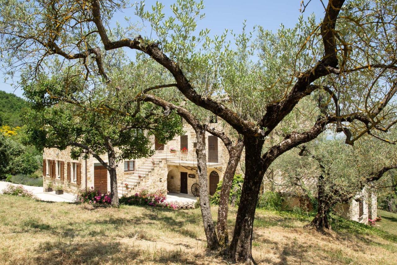 Villa Colle Di Rocco Limigiano Exterior foto
